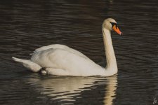 2014_11_0020.jpg