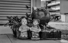 morning-welcome-1.jpg