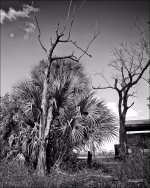 1  Welcome to Loxahatchee.jpg
