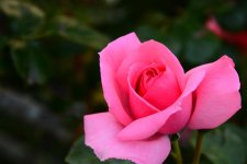 DSC_5855.jpg