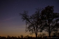 DSC_2114.jpg