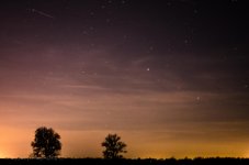 DSC_2110.jpg
