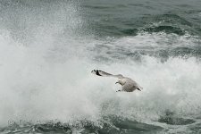 NEW_2245_webshot.jpg