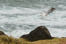 NEW_2249_webshot.jpg