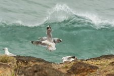 NEW_2258_webshot.jpg