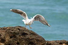 NEW_2208_webshot.jpg