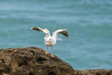 NEW_2209_webshot.jpg