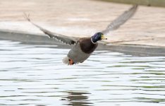 DSC_0759.jpg