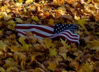 DSC_4341.jpg