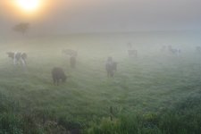 DSC_5812.jpg