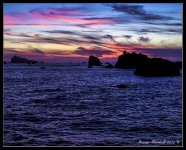 W_DSC_8216_8x10.jpg