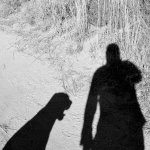 shadow-dog1a.jpg