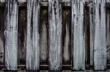 Wooden fence looks mono.jpg