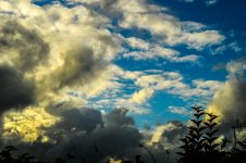 DSC_6023.jpg