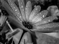 IMG_0064.jpg