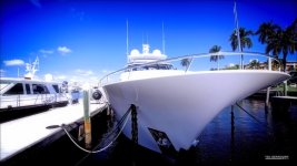 The Palm Beach Bow.jpg