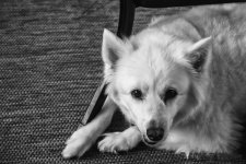 D71_1783-Edit.jpg