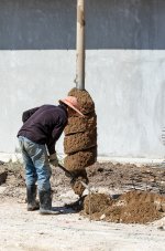 digging1-5.jpg