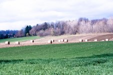 DSC_4349-2.jpg