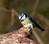 DSC_9624.jpg
