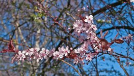 DSC_0058.jpg