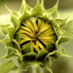 NEW_2353#2_webshot.jpg
