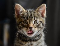 DSC_4722.jpg