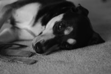 DSC_6598.jpg