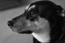 DSC_6606.jpg