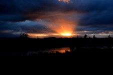 DSC_5886.jpg