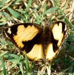 ESC_5961.jpg