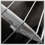 Double bass strings - copie.jpg