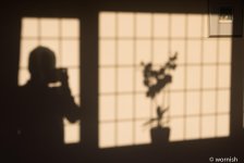 Shadow.jpg