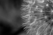 DSC_0076.jpg