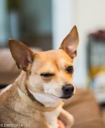 Here's looking at you kid (1 of 1).jpg