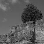 DSC_2172.jpg