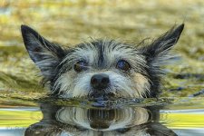 NEW_2432_webshot.jpg