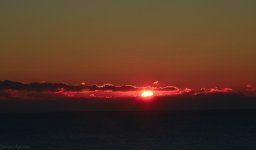 DSC_0752.jpg