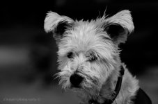 DSC_2224.jpg