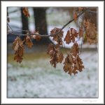 The edge of winter.jpg