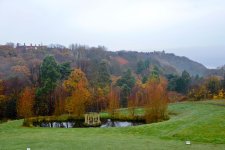 DSC_6011.jpg