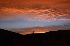 DSC_6004.jpg