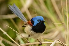 NEW_2606_webshot.jpg