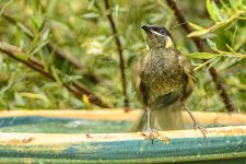 NEW_2652_webshot.jpg