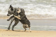 NEW_2542_webshot.jpg