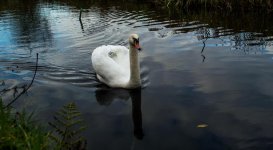DSC_3841.jpg