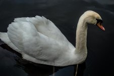 DSC_3845.jpg
