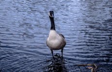 DSC_3834.jpg