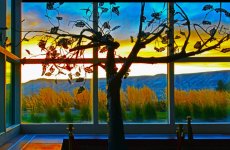 124345d1416262339-vividness-tree-fake-tree.jpg