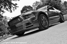 ArtsMustang_16-35.jpg